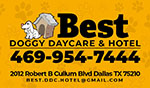 Best Doggy DayCare & Hotel